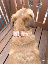 Load image into Gallery viewer, Dog Collar/ Twatwaffle Dog Collar/ Wffle Dog Collar/ Swear Dog Collar/Fabric Dog Collar