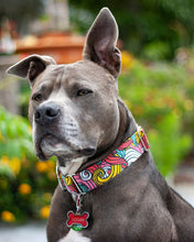 Load image into Gallery viewer, Dog Collar/ Bright Waves Dog Collar/ Ukrainian Artist Dog Collar/ Bright Swirls Dog Collar/ Fabric Dog Collar