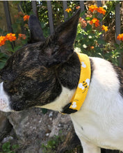 Load image into Gallery viewer, Dog Collar/ Bees Dog Collar/ Yellow Dog Collar/ Bumble Bee Dog Collar/ Dog Accessories
