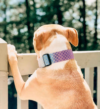 Load image into Gallery viewer, Dog Collar/ Purple Mermaid Dog Collar/ Fabric Dog Collar/ Mermaid Dog Collar/ Scales Dog Collar
