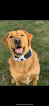 Load image into Gallery viewer, Dog Collar/ Cow Print Dog Collar/ Black and White Dog Collar/ Animal Print Dog Collar/ Fabric Dog Collar