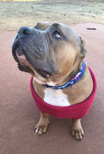 Load image into Gallery viewer, Dog Collar/ Purple and Pink Dino Dog Collar/ Fabric Dog Collar/ Dinosaur Dog Collar/Bright Dog Collar