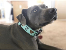 Load image into Gallery viewer, Dog Collar/ End BSL Dog Collar/ Pit Bull Dog Collar/ Fabric Dog Collar/ Pittie Dog Collar
