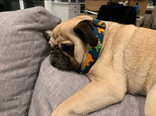 Load image into Gallery viewer, Dog Collar/ Dinosaurs Dog Collar/ Navy Dog Collar/ Boy Dog Collar/ Characters Dog Collar/ Fabric Dog Collar