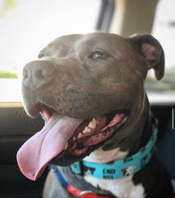 Load image into Gallery viewer, Dog Collar/ End BSL Dog Collar/ Pit Bull Dog Collar/ Fabric Dog Collar/ Pittie Dog Collar