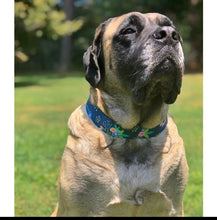 Load image into Gallery viewer, Dog Collar/ Navy Flower Dog Collar Fabric Dog Collar/ Navy Dog Collar/ Flower Dog Collar