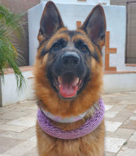 Load image into Gallery viewer, Dog Collar/ Spring Dog Collar/ Oil Slick Dog Collar/ Pink Dog Collar/ Purple Dog Collar/ Marble Dog Collar