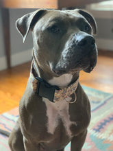 Load image into Gallery viewer, Dog Collar/ Sock Monkey Dog Collar/ Monkey Dog Collar/ Dog Accessories/ Fabric Dog Collar