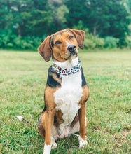 Load image into Gallery viewer, Dog Collar/ Cheetah Print Dog Collar/ Rainbow Dog Collar/ Fabric Dog Collar