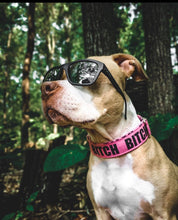 Load image into Gallery viewer, Dog Collar/ Bitch Dog Collar/ Large Lettering Hot Pink Dog Collar/ Cussing Dog Collar/Fabric Dog Collar