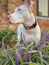Load image into Gallery viewer, Dog Collar/ Maroon and Cream Flower Dog Collar/ Fall Dog Collar/Fabric Dog Collar