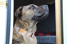 Load image into Gallery viewer, Dog Collar/ Smores Dog Collar/ Brown Dog Collar/ Camping Dog Collar/Fabric Dog Collar
