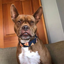 Load image into Gallery viewer, Dog Collar/ Pizza Dog Collar/ Fast Food Dog Collar/ Fabric Dog Collar