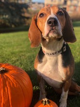 Load image into Gallery viewer, Dog Collar/ Feast Mode Dog Collar/ Pumpkin Pie Dog Collar/Thanksgiving Dog Collar/ Fabric Dog Collar