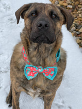 Load image into Gallery viewer, Dog Collar/ Valentine Shark Dog Collar/ Valentines Dog Collar/ Shark Dog Collar
