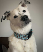 Load image into Gallery viewer, Dog Collar/ Stud Muffin Dog Collar/ Valentines Dog Collar/ Food Dog Collar