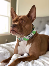 Load image into Gallery viewer, Dog Collar/ Dinosaur Dog Collar/ Valentines Dog Collar/ Hugasaurus Dog Collar