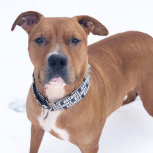 Load image into Gallery viewer, Dog Collar/ Asshole Dog Collar/ Black Dog Collar/ Cussing Dog Collar/Fabric Dog Collar