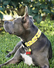Load image into Gallery viewer, Dog Collar/ Chicken Dog Collar/ Fabric Dog Collar/ Yellow Dog Collar
