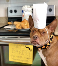 Load image into Gallery viewer, Dog Collar/ Croissant Dog Collar/ Food Dog Collar/ Fabric Dog Collar/ French Dog Collar