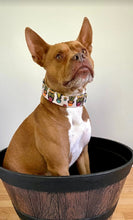 Load image into Gallery viewer, Dog Collar/ Cact-Ass Dog Collar/ Butt Cactus Dog Collar/ Booty Dog Collar/ Cactus Dog Collar/ Fabric Dog Collar