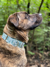 Load image into Gallery viewer, Dog Collar/ Mini Trees Dog Collar/ Plant Dog Collar/ Watercolor Trees Dog Collar/ Trees Dog Collar/ Fabric Dog Collar