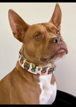 Load image into Gallery viewer, Dog Collar/ Cact-Ass Dog Collar/ Butt Cactus Dog Collar/ Booty Dog Collar/ Cactus Dog Collar/ Fabric Dog Collar