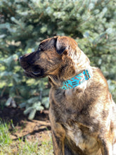 Load image into Gallery viewer, Dog Collar/ Branch Manager Dog Collar/ Stick Dog Collar/ Dog Theme Dog Collar/ Blue Dog Collar/ Fabric Dog Collar