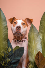 Load image into Gallery viewer, Dog Collar/ Cheetah Print Dog Collar/ Gold Blush Dog Collar/ Animal Print Dog Collar/ Metallic Dog Collar/ Fabric Dog Collar