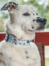 Load image into Gallery viewer, Dog Collar/ Turtle Dog Collar/ Fish Dog Collar/ Animal Dog Collar/ Ocean Dog Collar/ Fabric Dog Collar