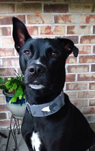 Load image into Gallery viewer, Dog Collar/ Tapir Dog Collar/ Gray Dog Collar/ Animal Dog Collar/ Zoo Dog Collar/ Fabric Dog Collar