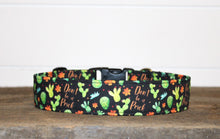Load image into Gallery viewer, Dog Collar/ Don't Be a Pr*ck Dog Collar/ Cactus Dog Collar/ Cussing Dog Collar/ Swear Dog Collar/ Naughty Dog Collar/ Fabric Dog Collar
