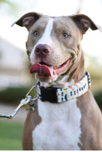 Load image into Gallery viewer, Dog collar/ Sushi Dog Collar/ Food Dog Collar/ Fabric Dog Collar