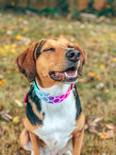 Load image into Gallery viewer, Dog Collar/ Mermaid Dog Collar/ Colorful Dog Collar/ Rainbow Dog Collar/ Fabric Dog Collar