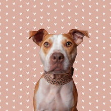 Load image into Gallery viewer, Dog Collar/ Leopard Hearts Dog Collar/ Valentines Dog Collar/ Cheetah Hearts Dog Collar/ Tan and Black Hearts Dog Collar/ Fabric Dog Collar