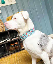 Load image into Gallery viewer, Dog Collar/ Hello I'm Deaf Dog Collar/ Deaf Dog Dog Collar/ Blue Dog Collar/ Training Dog Collar