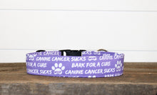 Load image into Gallery viewer, Dog Collar/ Dog Cancer Dog Collar/ Cancer Dog Collar/ Purple Dog Collar/ Training Dog Collar