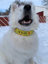 Load image into Gallery viewer, Dog Collar/ I'm Blind Dog Collar/ Blind Dog Dog Collar/ Yellow Dog Collar/ Training Dog Collar/ Alert Dog Collar