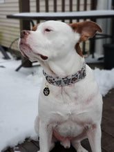 Load image into Gallery viewer, Dog Collar/ Doing Bad Dog Sh*t Dog Collar/ Cussing Dog Collar/ Swear Dog Collar/ Naughty Dog Collar/ Fabric Dog Collar