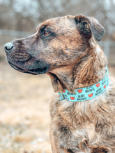 Load image into Gallery viewer, Dog Collar/ Heart Breaker Dog Collar/ Valentines Dog Collar/ Love Dog Collar/ Fabric Dog Collar