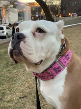 Load image into Gallery viewer, Dog Collar/ Badass B*tch Dog Collar/ Cussing Dog Collar/ Swear Dog Collar/ Naughty Dog Collar/ Fabric Dog Collar