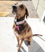 Load image into Gallery viewer, Dog Collar/ Daddy's Girl Dog Collar/ Dog Dad Dog Collar/ Gray Dog Collar