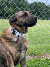 Load image into Gallery viewer, Dog Collar/ Cow Print Dog Collar/ Black and White Dog Collar/ Animal Print Dog Collar/ Fabric Dog Collar