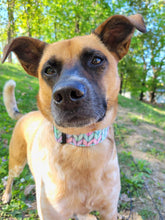 Load image into Gallery viewer, Dog Collar/ Pastel Knit Dog Collar/ Ukrainian Artist Dog Collar/ Knit Pattern Dog Collar/ Fabric Dog Collar