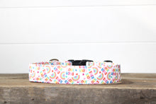 Load image into Gallery viewer, Dog Collar/ Love Wins Dog Collar/ Pride Dog Collar/ Rainbow Dog Collar