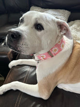 Load image into Gallery viewer, Dog Collar/ Smily Face Dog Collar/ Kindness Dog Collar/ Good Message Dog Collar/ Happy Dog CollarFabric Dog Collar