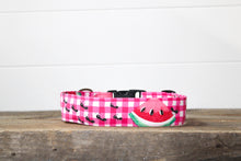 Load image into Gallery viewer, Dog Collar/ Picnic Dog Collar/ Fruit Dog Collar/ Summer Dog Collar/ Ants Dog Collar