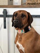 Load image into Gallery viewer, Dog Collar/ Bright Dog Collar/ Ribbons Dog Collar/ Stripes Dog Collar/ Zigzag Dog Collar