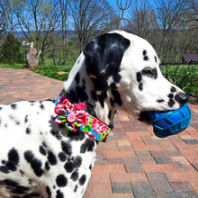 Load image into Gallery viewer, Dog Collar/ Pink Rose Dog Collar/ Flower Dog Collar/ Fabric Dog Collar