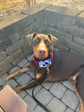 Load image into Gallery viewer, Dog Collar/ Cow Print Dog Collar/ Black and White Dog Collar/ Animal Print Dog Collar/ Fabric Dog Collar